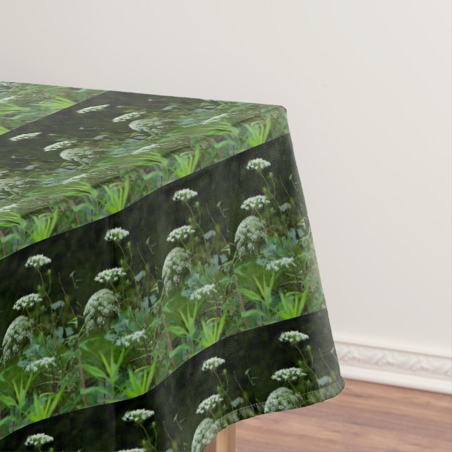 Nappe Fleur sauvage de dentelle de la reine Anne en été (In Situ)