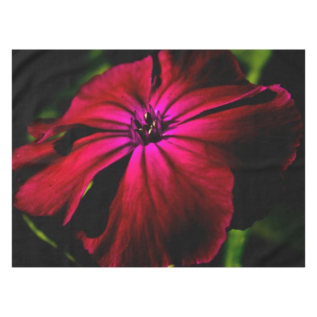 Nappe Fleur sauvage violette 50x72 tccnm (Devant (Horizontal))