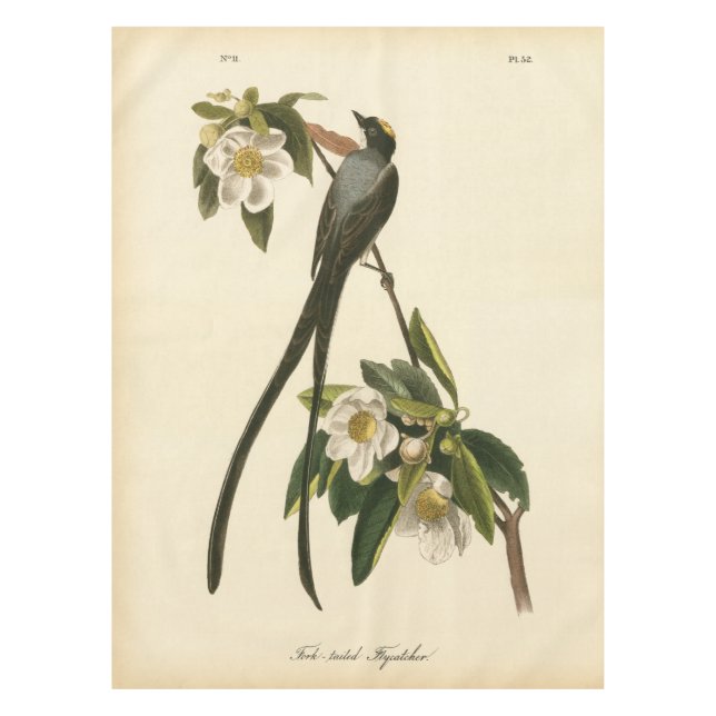 Nappe FLYCATCHER floral d'oiseau de magnolia vintage (Devant)