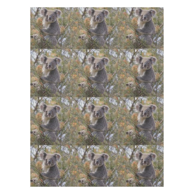 Nappe Grevillea Koala Bear, (Devant)
