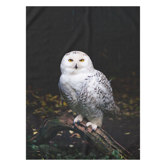 Nappe Hibou des neiges majestueux d'hiver (Devant)