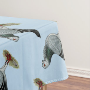 Nappe Hibou italien Grizzle Pigeon