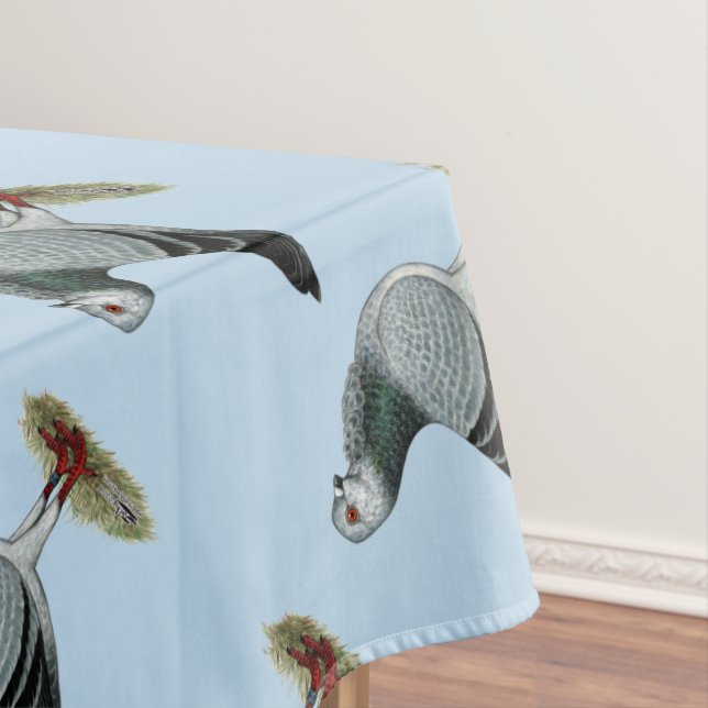 Nappe Hibou italien Grizzle Pigeon (In Situ)