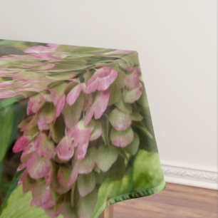 Nappe Hydrangea d'automne en fleurs avec feuilles d'host