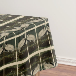 Nappe Ibiss En Bois (Ibis, Stork) : Audubon Birds of Ame
