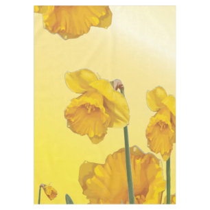 Nappe Jaune Narcisse Daffodique