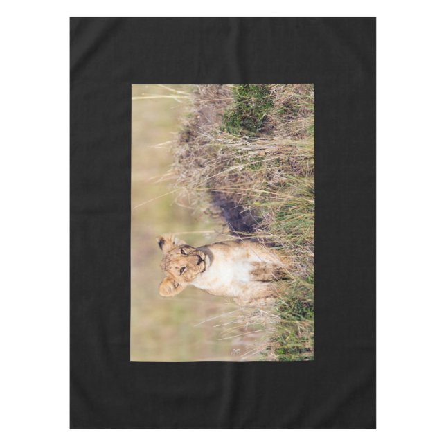 Nappe Jeune lion (Devant)