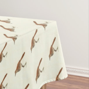 Nappe La Grive Brown ou le Trasher Brown, New York Birds