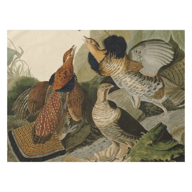 Nappe La peinture d'Audubon d'un trio de grouse de (Devant (Horizontal))