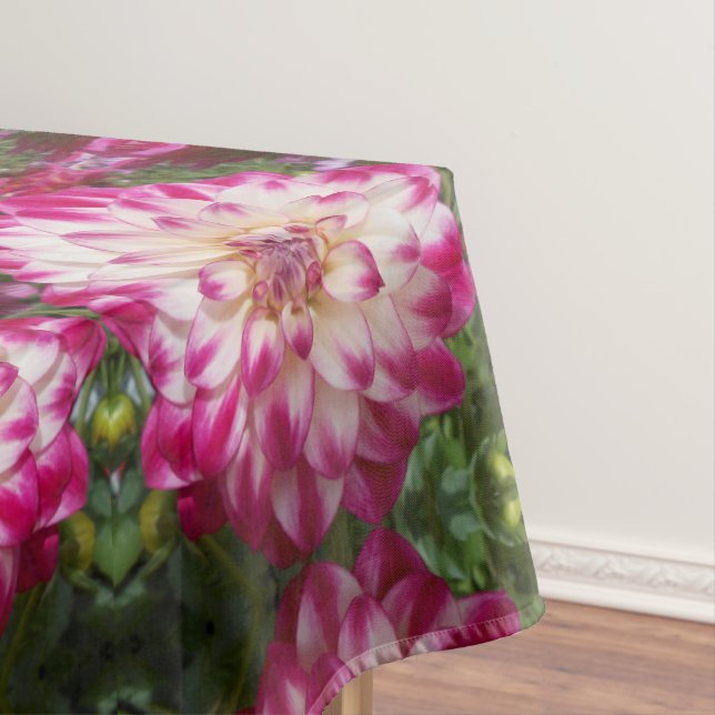 Nappe Les Beaux (In Situ)