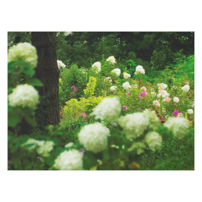 Nappe Limelight Hydrangeas dans My Rubio Garden (Devant (Horizontal))