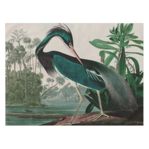 Nappe Louisiana Heron Birds of America Audubon Imprimer