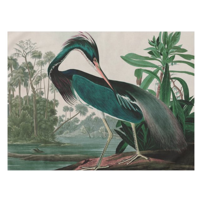 Nappe Louisiana Heron Birds of America Audubon Imprimer (Devant (Horizontal))