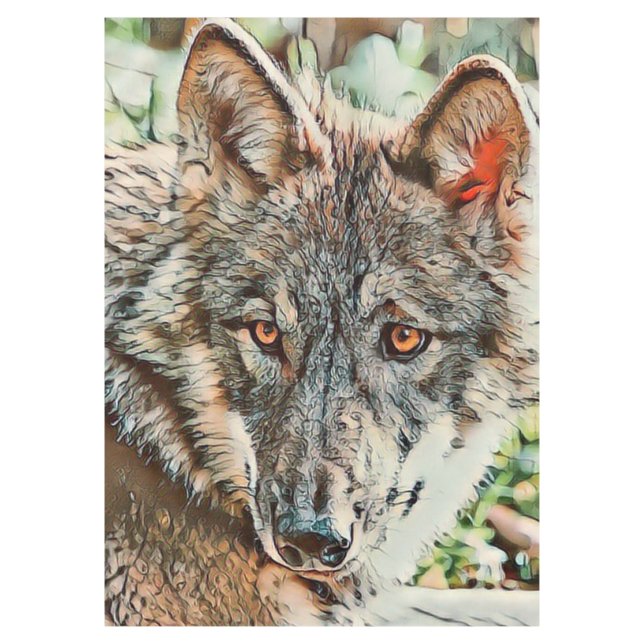 Nappe loup cinglé (Devant)