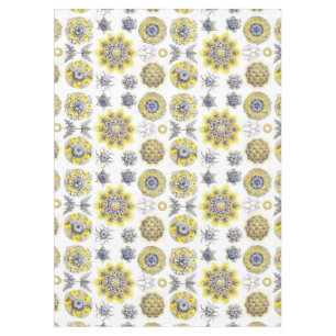 Nappe Macro Sea Creatures Amoeba