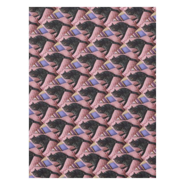 Nappe Maître Dave (Devant)