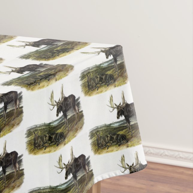 Nappe Moose Deer (Moose - Alces alces) par Audubon (In Situ)