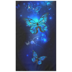 Nappe Morpho Butterfly in the Dark Background