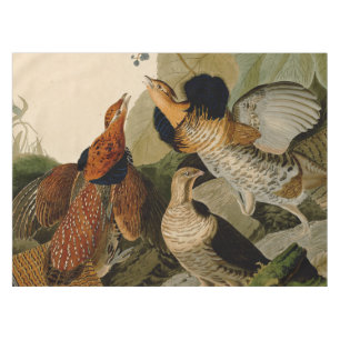 Nappe Oiseau de gibier Audubon