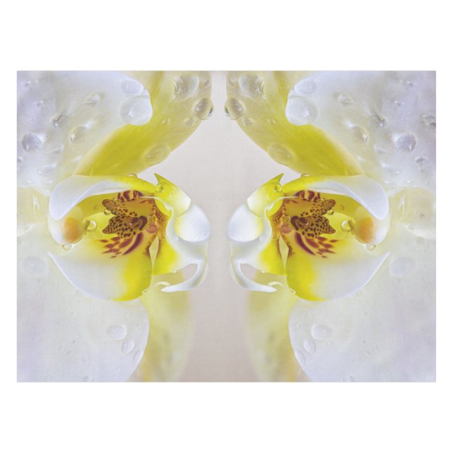 Nappe Orchid Dew (Devant (Horizontal))