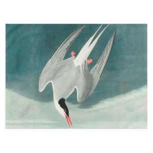 Nappe Peinture de la faune de la sterne de l'Arctique Au