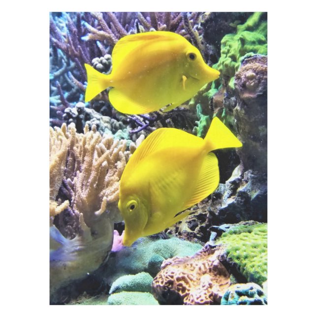 Nappe Poisson Hawaïen Tang Jaune (Devant)