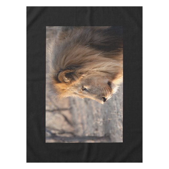 Nappe Portrait de Lion (Devant)