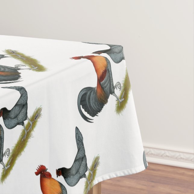 Nappe Poule bleue du Delaware (In Situ)