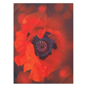 Nappe Red Poppy Dark Arrière - plan & Bokeh Effet