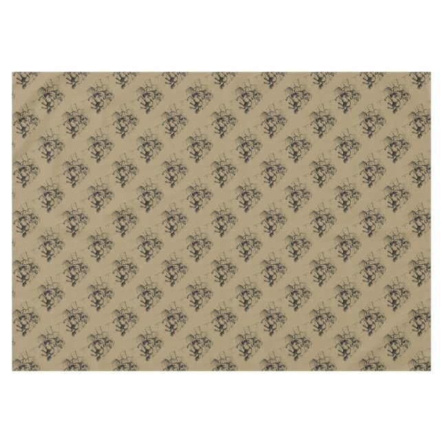 Nappe Sagittarius Constellation Hevelius 1690 Engraving (Devant (Horizontal))