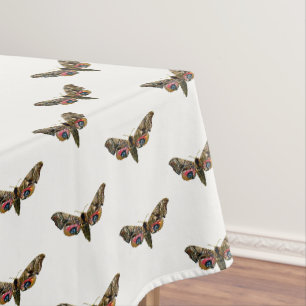 Nappe Smerinthus ocellata - Eyed Hawk-Moth - Color Image