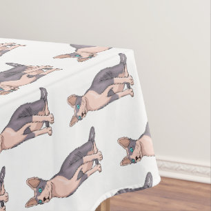Nappe Sphynx cat