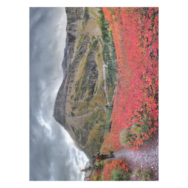 Nappe Swiftcurrent Pass Trail - Parc national des Glacie (Devant)