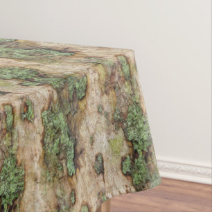 Nappe Sycamore arbre écorce mousse Lichen
