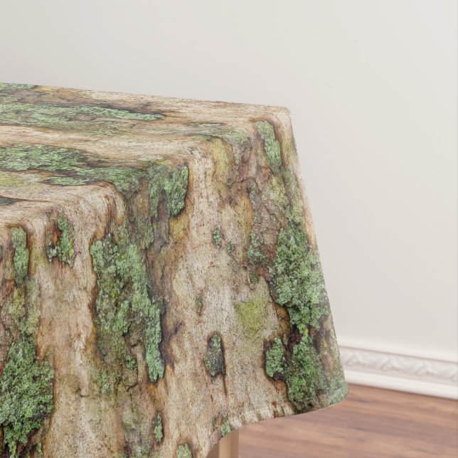 Nappe Sycamore arbre écorce mousse Lichen (In Situ)