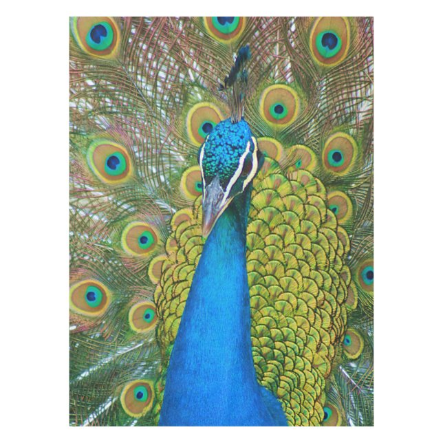 Nappe Tête bleue Peacock avec et des plumes de queue col (Devant)