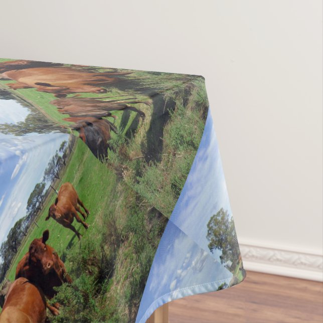 Nappe Troupeau Brown De Vaches Dans Le Pays, (In Situ)