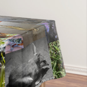 Nappe Wild Wonders : Captivant Australian Photo Collage