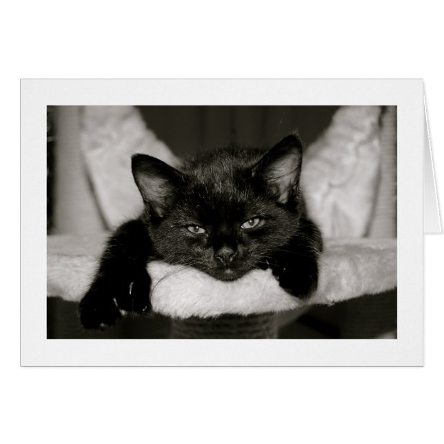 Napper avec moi (Devant horizontal)