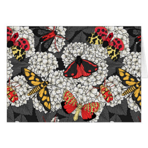 Nappes phréatiques sur hydrangée blanche