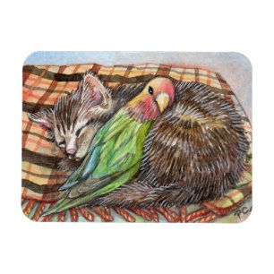 Napping Buddy Magnet