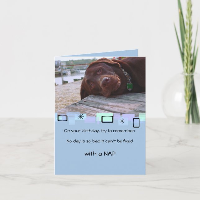 Napping Chocolate Lab All Occasion Greeting Card (Front)