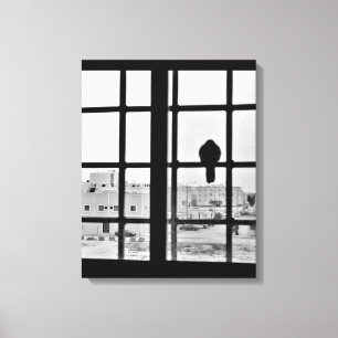 Napping Dove  Canvas Print