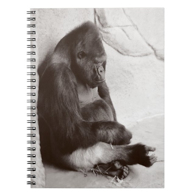 Napping Gorilla Photo Notebook (Front)