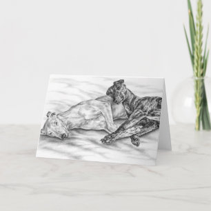 Napping Greyhounds Drawing by Kelli Swan Card