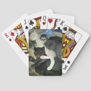 Napping Kittens Playing Cards, Standard Deck Cards