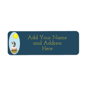 Napping Penguin in the Sun