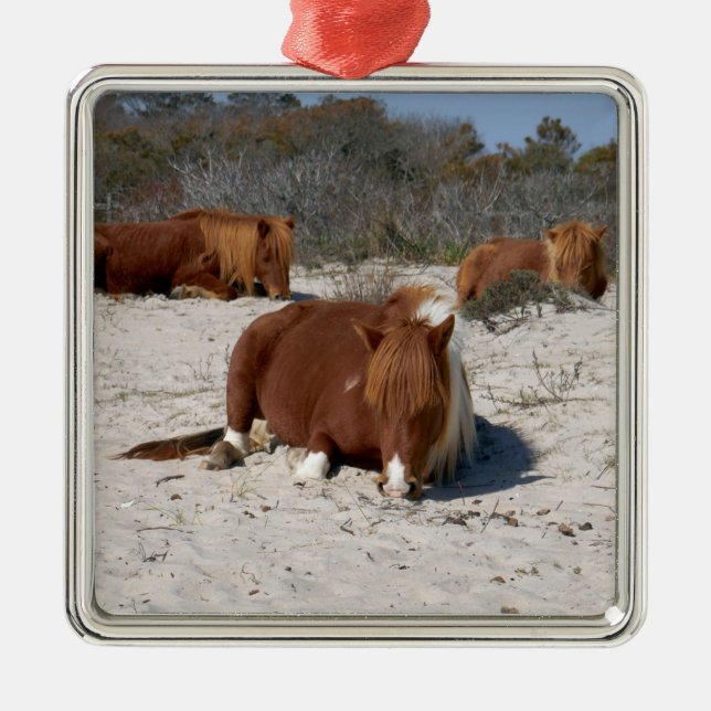 Napping Wild Ponies at Assateague National Park Metal Ornament (Front)