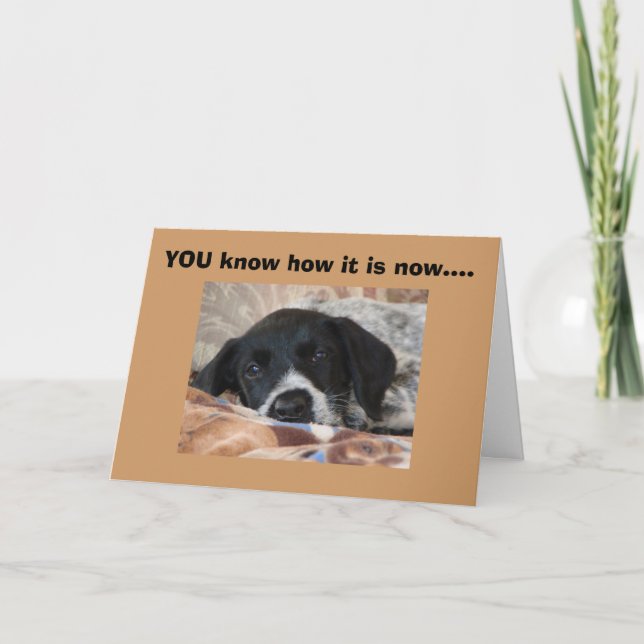 NAPS ARE AN IMPORTANT TIME OF DAY CARD (Front)