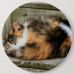 Naptime 6 Inch Round Button